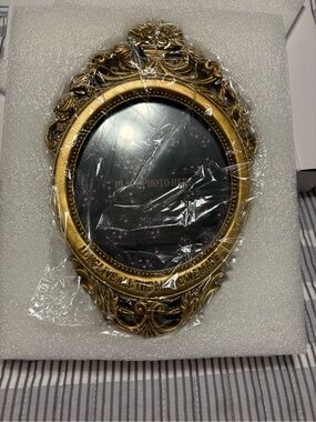 Official Taylor Swift Speak Now Frame